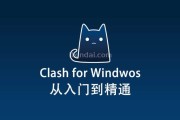 最新 Clash for Windows 使用教程快速入门篇